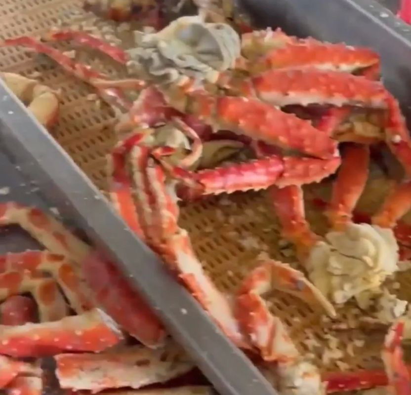 Немаркированная крабовая продукция на 15 млн рублей: на Камчатке будут судить приезжих предпринимателей Немаркированная крабовая продукция на 15 млн рублей: на Камчатке будут судить приезжих предпринимателей