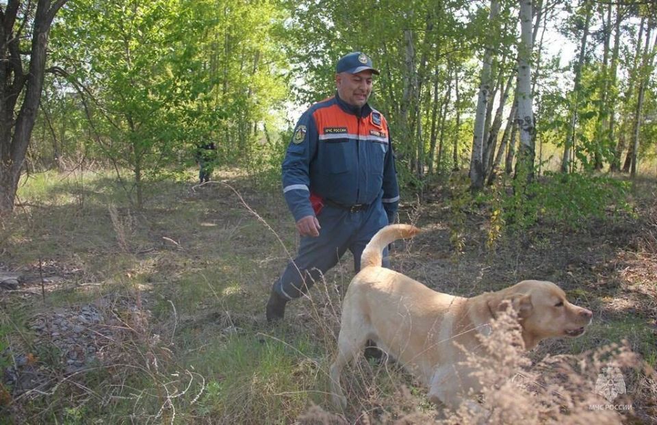 Камчатские кинологи принимают участие в аттестации кинологических расчетов МЧС России из регионов ДФО Камчатские кинологи принимают участие в аттестации кинологических расчетов МЧС России из регионов ДФО