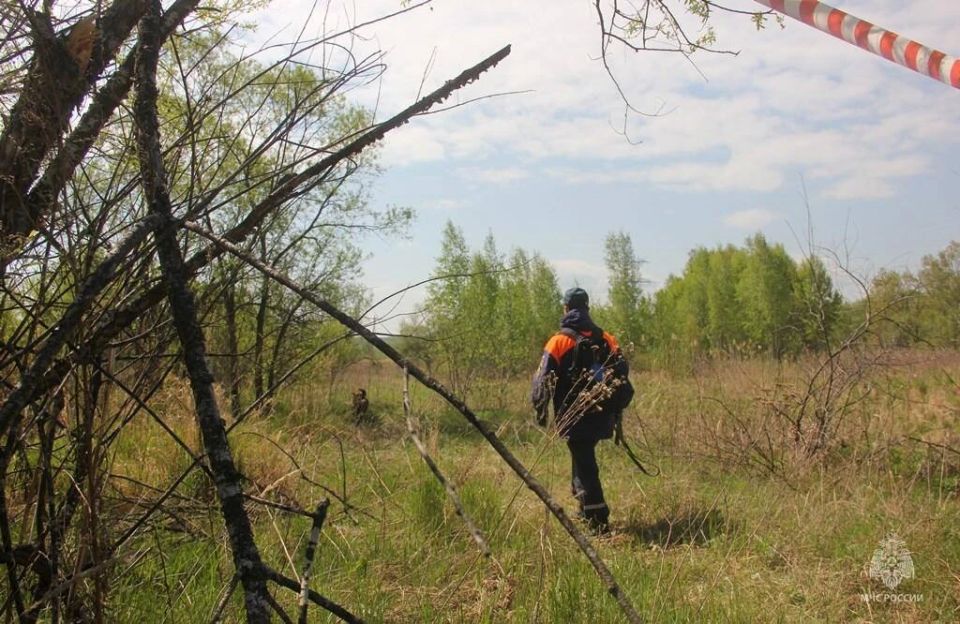 Камчатские кинологи принимают участие в аттестации кинологических расчетов МЧС России из регионов ДФО Камчатские кинологи принимают участие в аттестации кинологических расчетов МЧС России из регионов ДФО