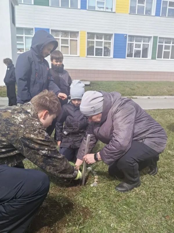 Патриотическая акция «Сад памяти» прошла в Елизовском округе Патриотическая акция «Сад памяти» прошла в Елизовском округе
