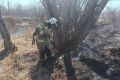 Почти 50 возгораний сухой травы произошли на Камчатке с начала пожароопасного периода