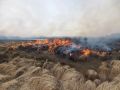 В Козыревске запретили разводить костры вблизи леса
