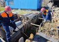 Пенсионерка позвала спасателей: собака провалилась в канаву и не могла выбраться
