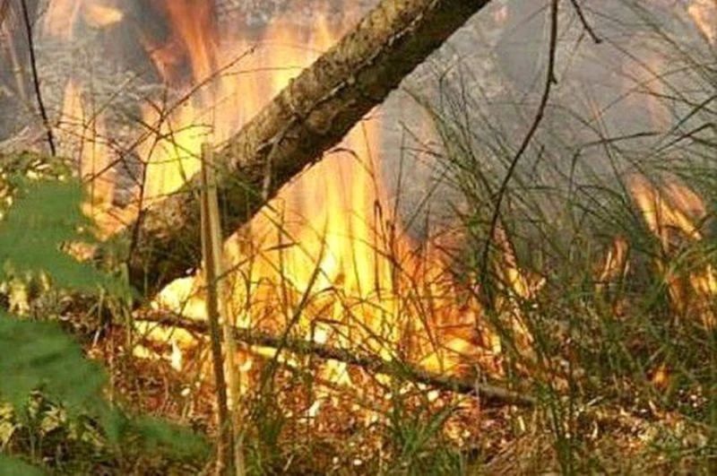 Посёлок Козыревск на Камчатке оказался в чрезвычайной пожарной опасности
