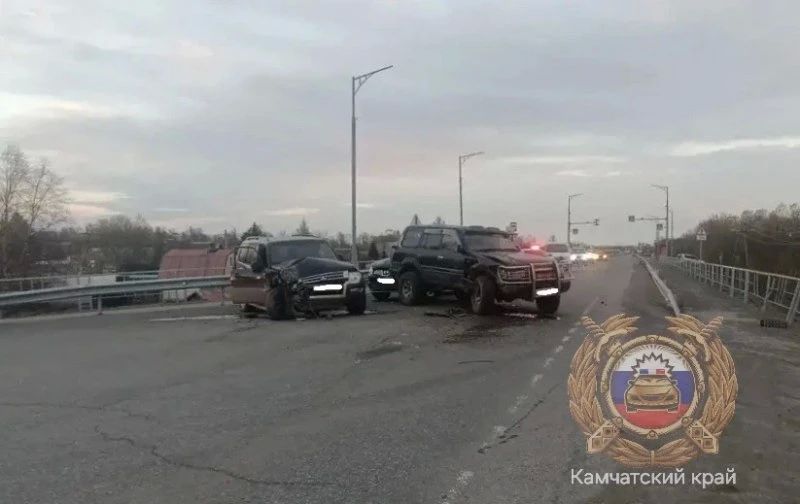 Женщина и девочка пострадали в ДТП на елизовском Садовом кольце