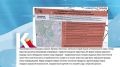 Камчатка|Новости туризма. Экскурсии к лизихитонам начали набирать на Камчатке