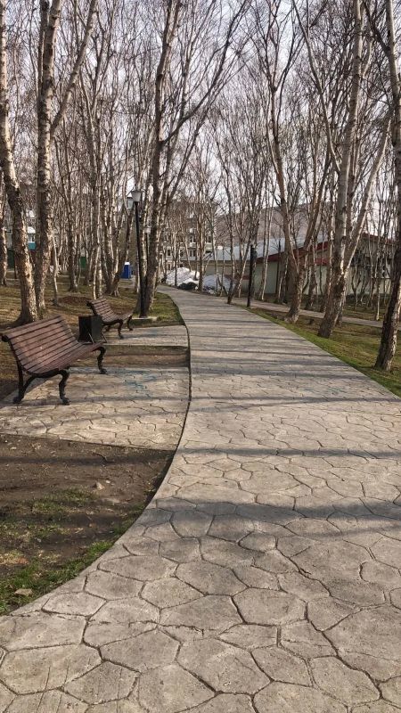 Подрядные организации Службы благоустройства продолжают работы по содержанию общественных пространств Подрядные организации Службы благоустройства продолжают работы по содержанию общественных пространств