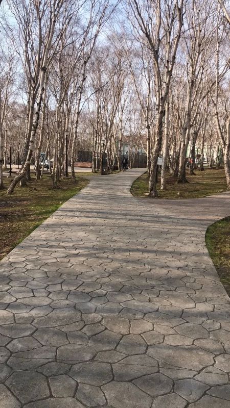 Подрядные организации Службы благоустройства продолжают работы по содержанию общественных пространств Подрядные организации Службы благоустройства продолжают работы по содержанию общественных пространств