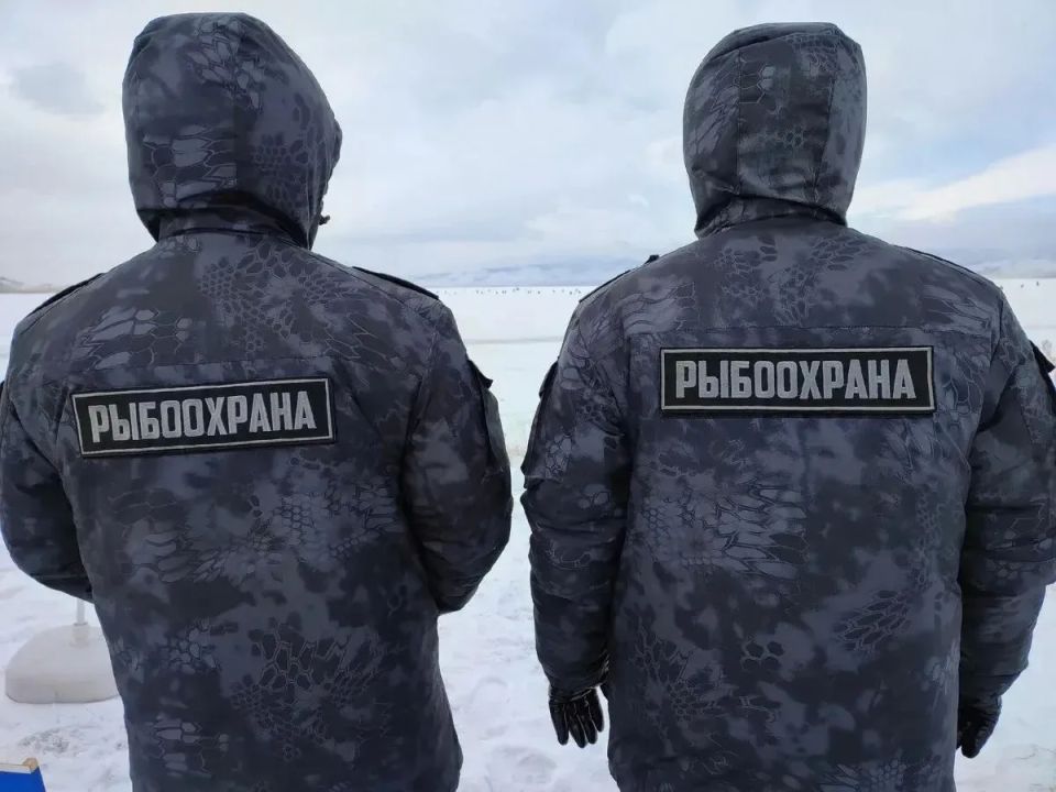 Камчатские рыбинспекторы за неделю поймали 80 браконьеров