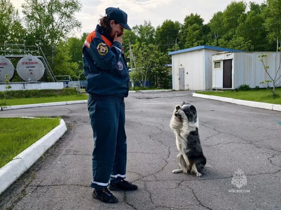 Анна Ечевская четвёртый год подряд становится лучшим кинологом-спасателем по Дальнему Востоку Анна Ечевская четвёртый год подряд становится лучшим кинологом-спасателем по Дальнему Востоку
