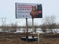 На Камчатке медведи с баннеров учат правилам соседства