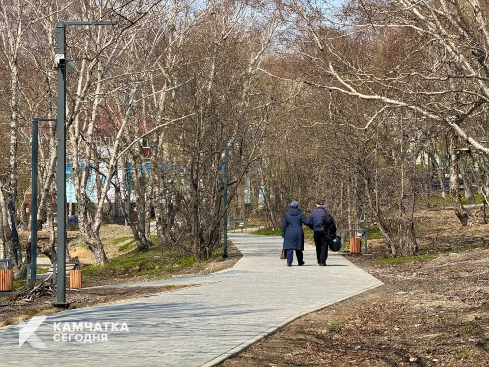 Для безопасности посетителей в парке «Электрон» спилят деревья Для безопасности посетителей в парке «Электрон» спилят деревья