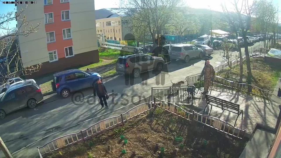 Собака напала на ребенка возле детского сада