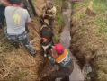 Застрял в яме, а вокруг собаки: спасатели МЧС вытащили телёнка в СНТ «Ригель»