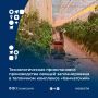 Смена культур в огуречном отделении будет проходить в период с 8 июля по 12 октября