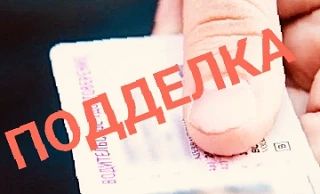Купил права за 50 тысяч: житель Соболевского района попался с поддельным водительским удостоверением