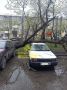 На Пограничной, 16 рухнувшее дерево повредило автомобиль