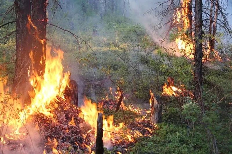 В селе Слаутном на севере Камчатки к пожару может привести любая искра