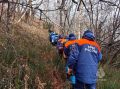 На Камчатке в Елизовском муниципальном округе ведутся поиски пропавшей женщины