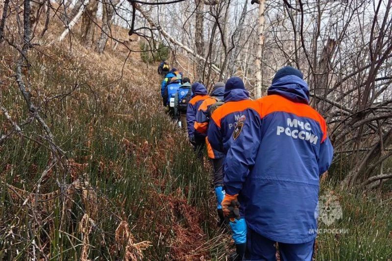 На Камчатке ведутся поиски пропавшей пенсионерки
