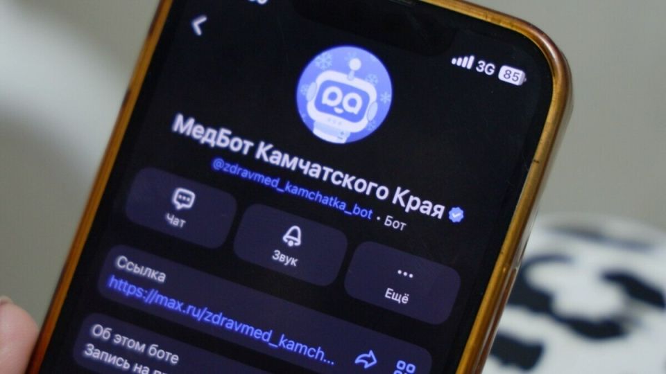 На Камчатке работает медицинский чат-бот в мессенджере MAX