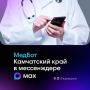 Более 17 тыс. жителей Камчатки присоединились к медботу в национальном мессенджере Max