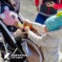 Возмещение расходов за ЖКХ получат семьи, где в 2026 году родился второй ребёнок