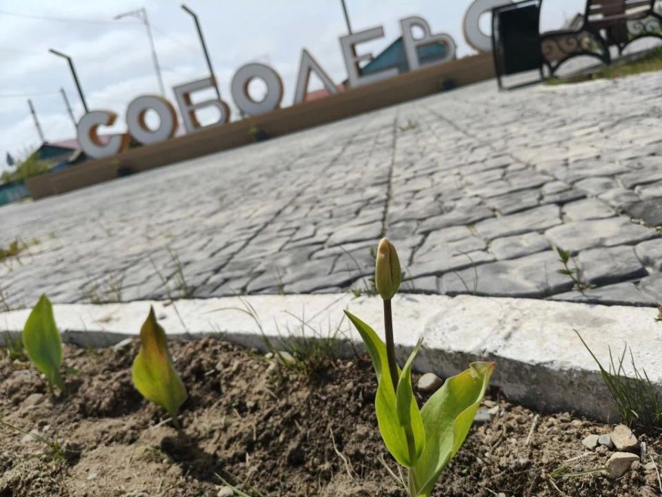 Жители села Соболево украсили въездную стелу цветами