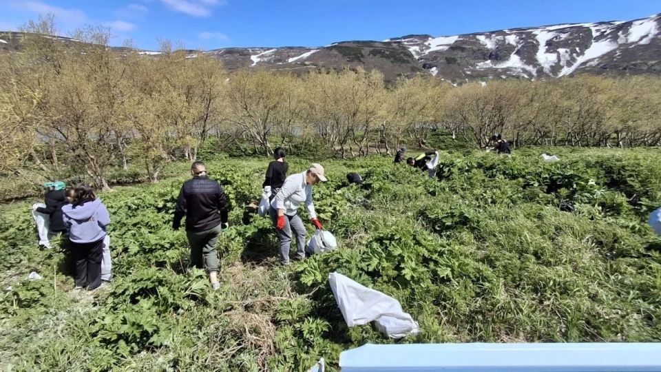 На Озерновских ключах прошел субботник На Озерновских ключах прошел субботник
