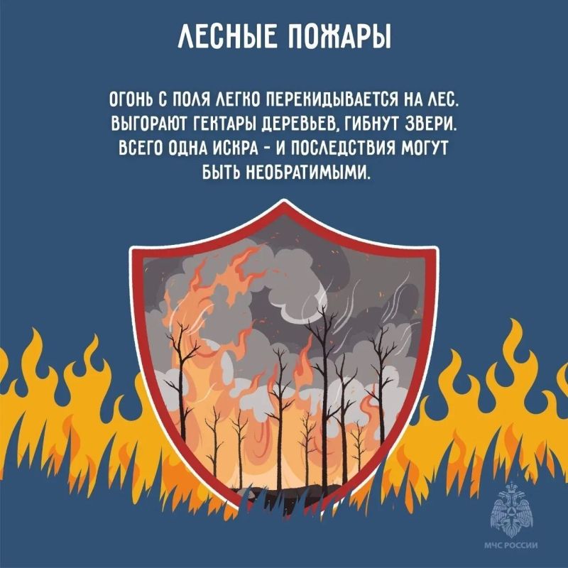 Останови огонь - не поджигай траву Останови огонь - не поджигай траву