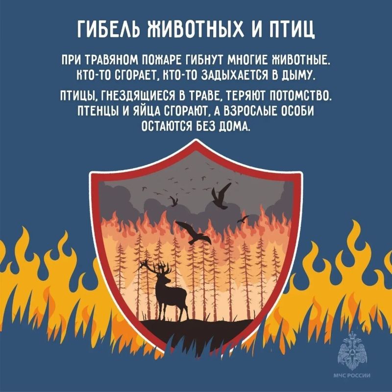 Останови огонь - не поджигай траву Останови огонь - не поджигай траву
