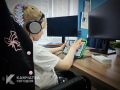 «День цифры» пройдёт в детских лагерях Камчатки