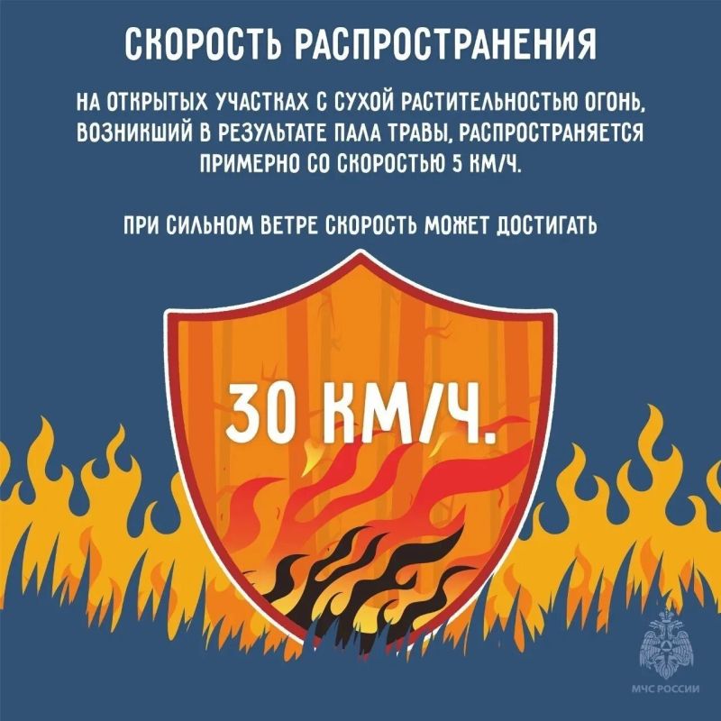 Останови огонь - не поджигай траву Останови огонь - не поджигай траву