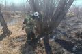 Более 80 возгораний сухой травы зафиксировано на Камчатке с начала пожароопасного периода