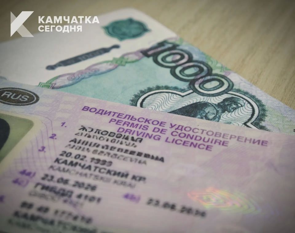 Купленные фальшивые права довели жителя Елизова до суда