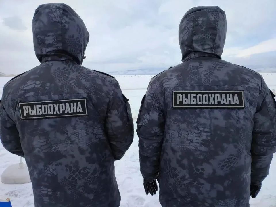 Камчатские рыбинспекторы за неделю изъяли у браконьеров более двух центнеров лосося