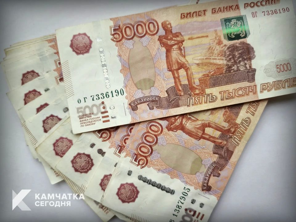 Камчатская полиция раскрыла схему отмывания 100 млн рублей владельцем наркошопа