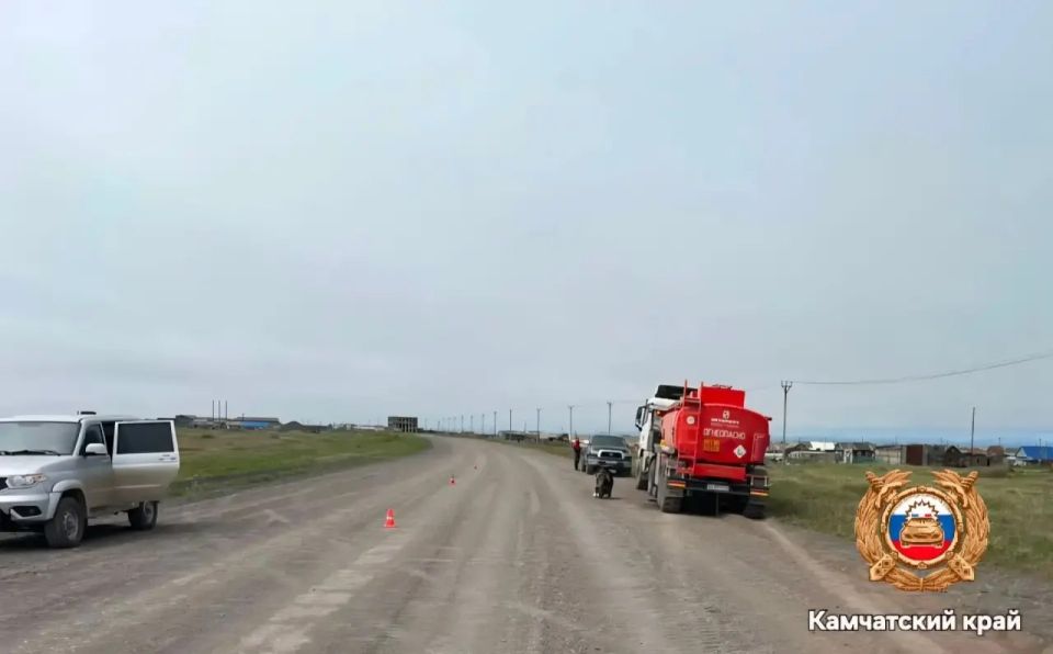 Смертельное ДТП на Камчатке: пассажирка мопеда погибла под колесами бензовоза Смертельное ДТП на Камчатке: пассажирка мопеда погибла под колесами бензовоза