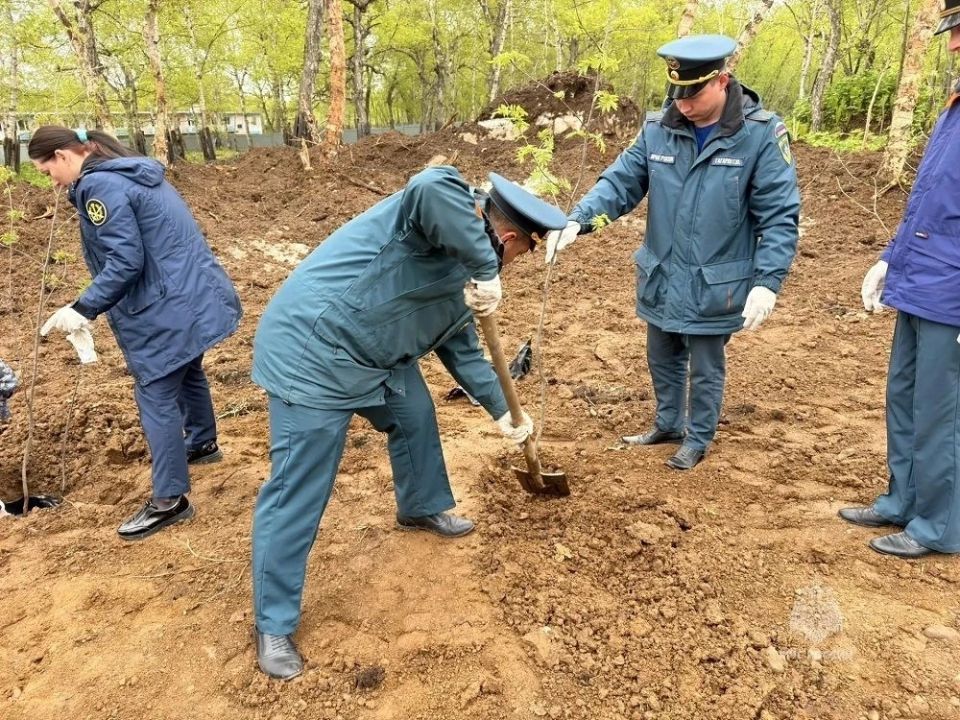 Члены молодёжного совета ГУ МЧС России по Камчатскому краю присоединились к международной акции «Сад памяти» Члены молодёжного совета ГУ МЧС России по Камчатскому краю присоединились к международной акции «Сад памяти»