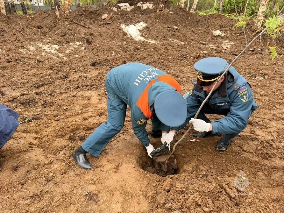 Члены молодёжного совета ГУ МЧС России по Камчатскому краю присоединились к международной акции «Сад памяти» Члены молодёжного совета ГУ МЧС России по Камчатскому краю присоединились к международной акции «Сад памяти»