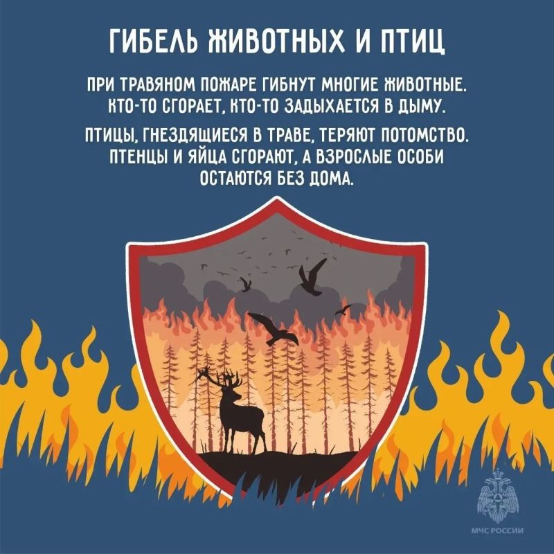 Останови огонь - не поджигай траву Останови огонь - не поджигай траву