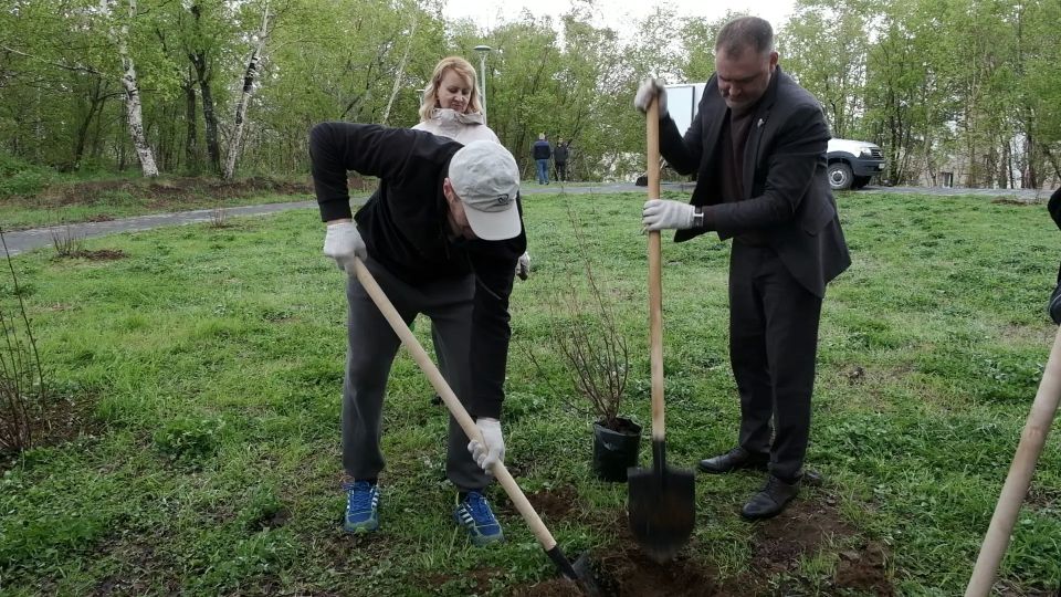 В Вилючинске высадили деревья в память о героях Великой Отечественной войны В Вилючинске высадили деревья в память о героях Великой Отечественной войны