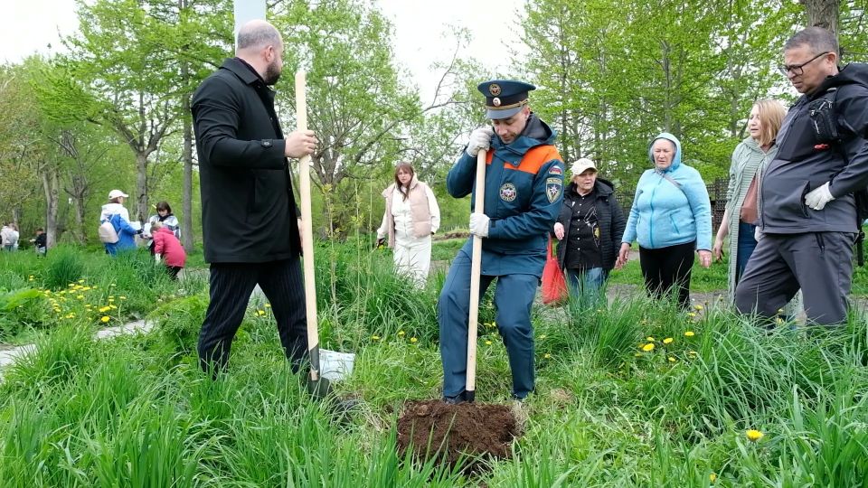 В Вилючинске высадили деревья в память о героях Великой Отечественной войны В Вилючинске высадили деревья в память о героях Великой Отечественной войны
