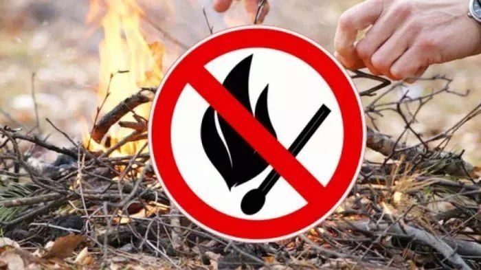 В пяти населённых пунктах Камчатки выросла угроза лесных пожаров