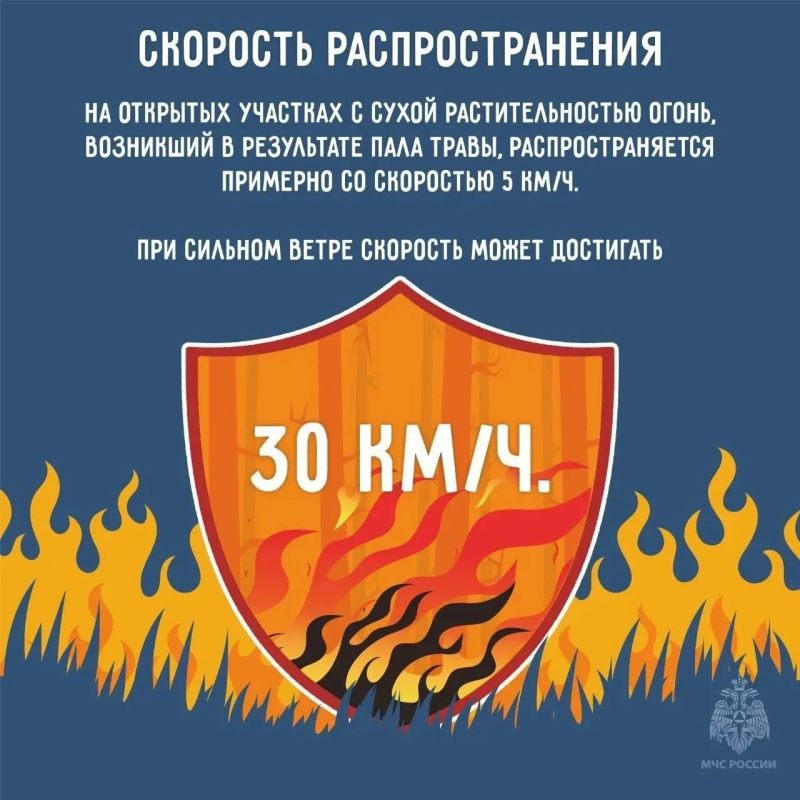 Останови огонь - не поджигай траву Останови огонь - не поджигай траву