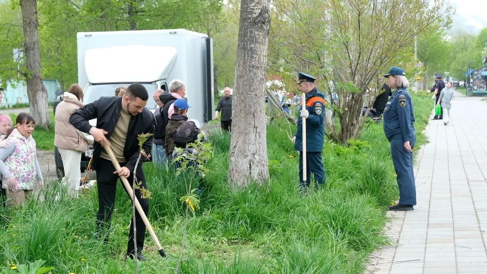 В Вилючинске высадили деревья в память о героях Великой Отечественной войны В Вилючинске высадили деревья в память о героях Великой Отечественной войны