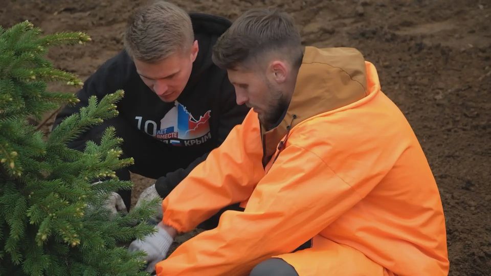 Акция «Сад памяти» охватит все районы и округа Камчатки Акция «Сад памяти» охватит все районы и округа Камчатки