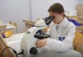 Выпускникам девятых классов предлагают выбрать профессию прямо в школе