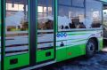 С 22 июня автобус №109 в Петропавловске начнёт ходить по новому расписанию
