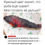 ������ ��������: ��������� ������ ���������� ���� ��� �������� ����